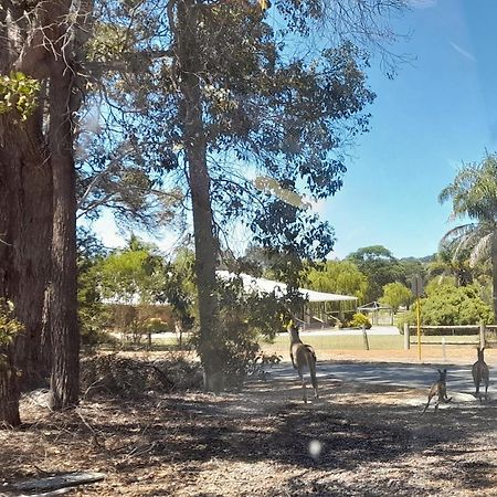 Motel 101 Oatlands Mount Barker Exterior foto